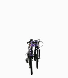 CAMP CHAMELEON (MULBERRY) foldable bicycle folded front