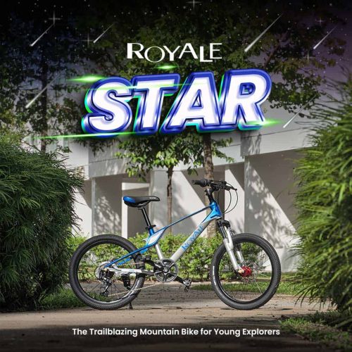 Extra content Royale Star 1 500x500 - Lookback 2023